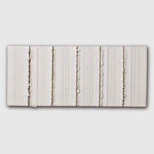 画像をギャラリービューアに読み込む, TK-MS-00245
